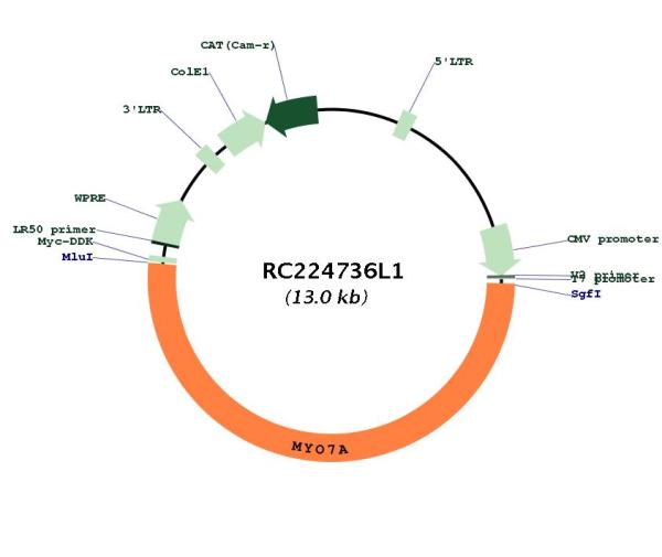 Circular map for RC224736L1