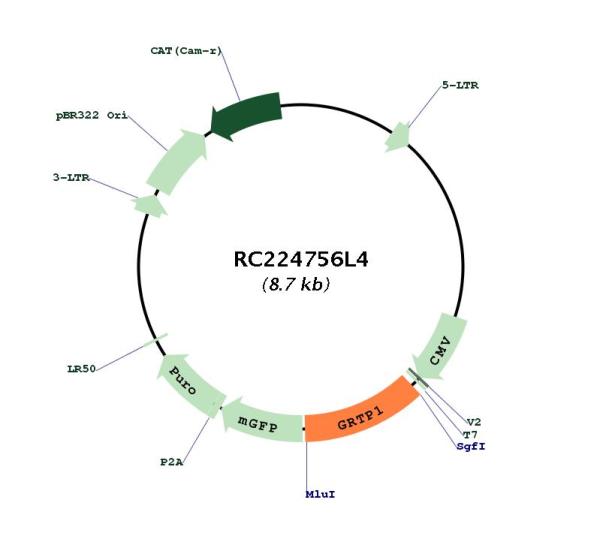 Circular map for RC224756L4