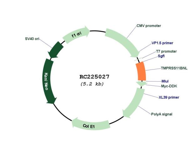 Circular map for RC225027