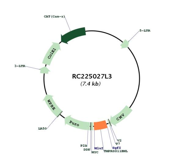 Circular map for RC225027L3