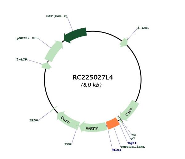 Circular map for RC225027L4