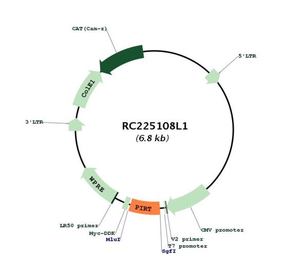 Circular map for RC225108L1