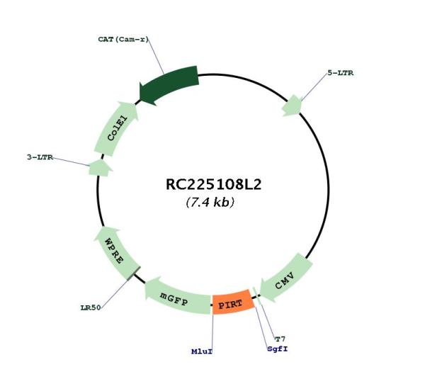 Circular map for RC225108L2