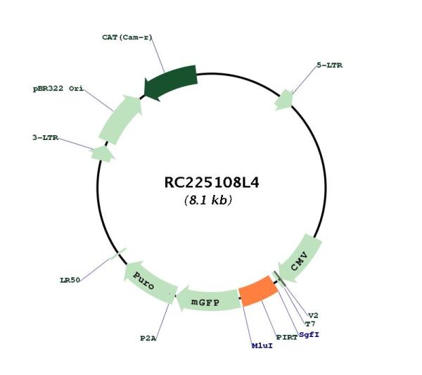 Circular map for RC225108L4