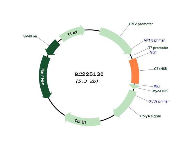 Circular map for RC225130