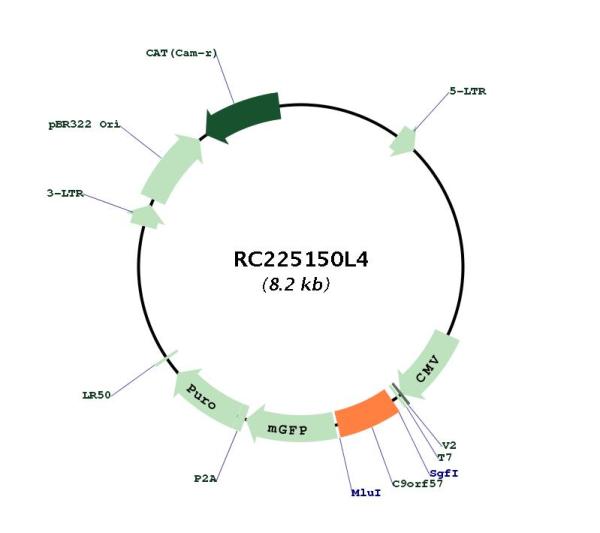 Circular map for RC225150L4