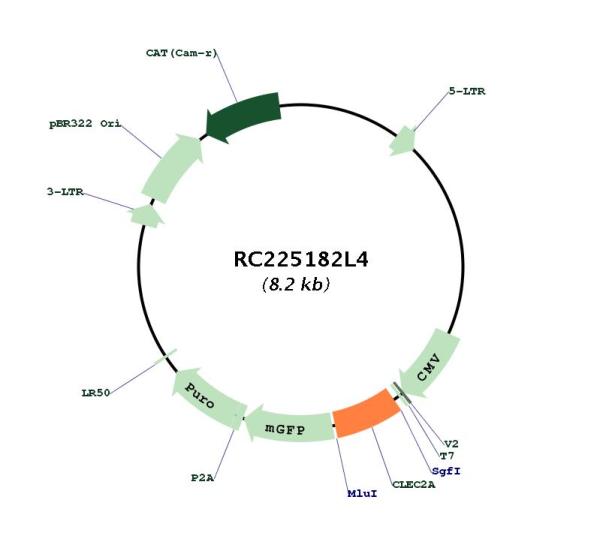 Circular map for RC225182L4