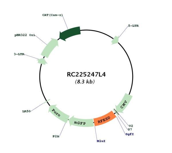 Circular map for RC225247L4