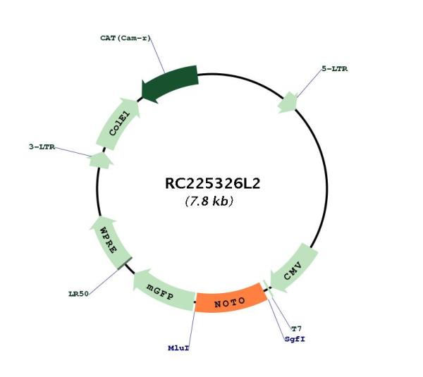 Circular map for RC225326L2