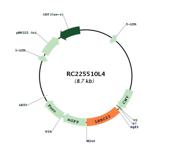 Circular map for RC225510L4