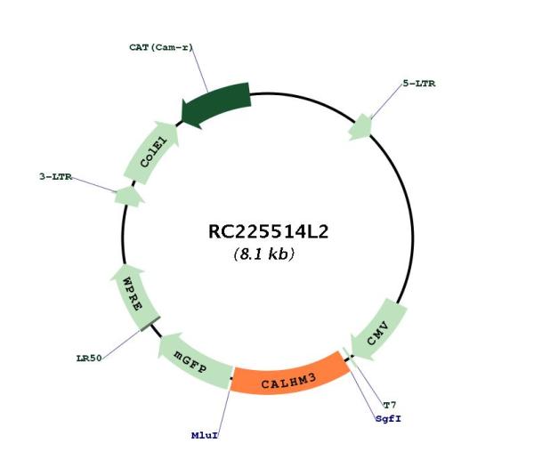 Circular map for RC225514L2