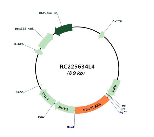 Circular map for RC225634L4