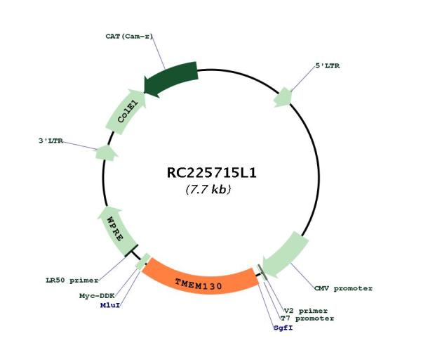 Circular map for RC225715L1