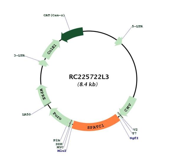 Circular map for RC225722L3