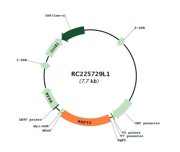 Circular map for RC225729L1