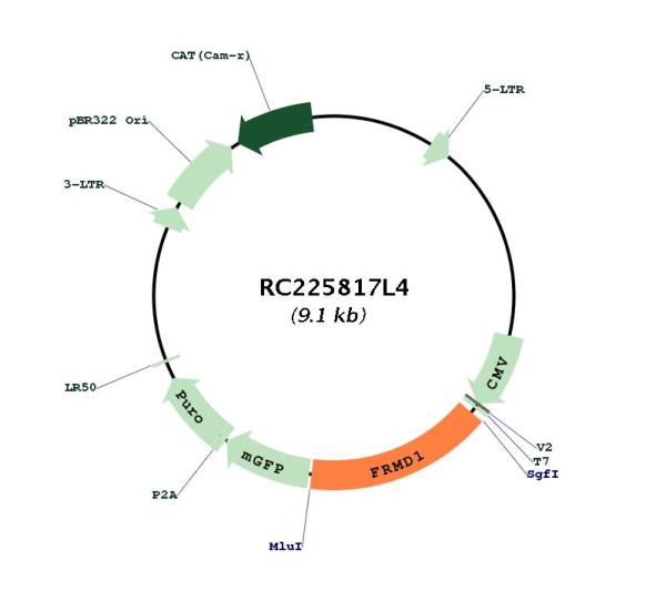 Circular map for RC225817L4