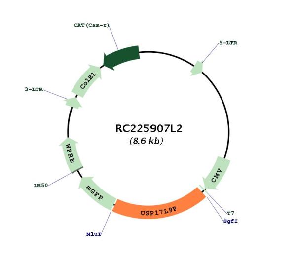 Circular map for RC225907L2