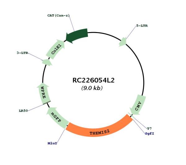Circular map for RC226054L2