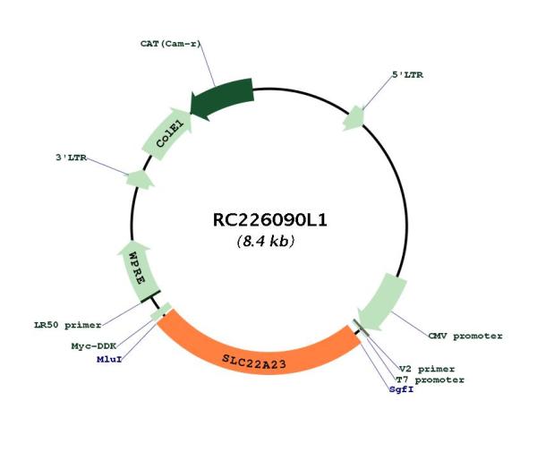 Circular map for RC226090L1