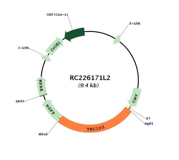 Circular map for RC226171L2