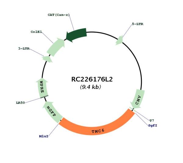 Circular map for RC226176L2