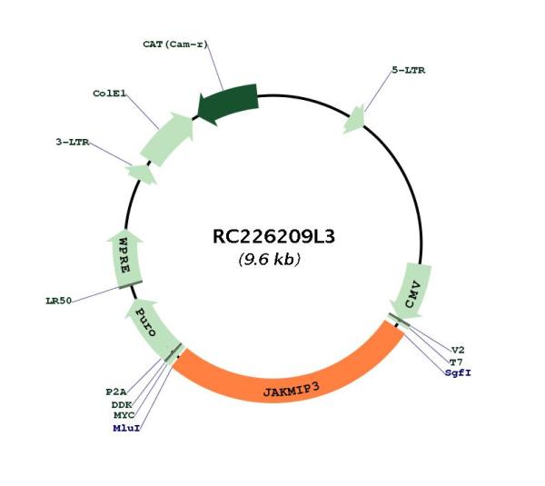 Circular map for RC226209L3