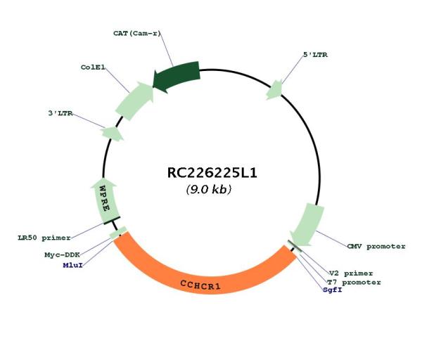 Circular map for RC226225L1