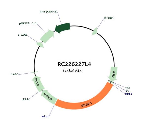 Circular map for RC226227L4
