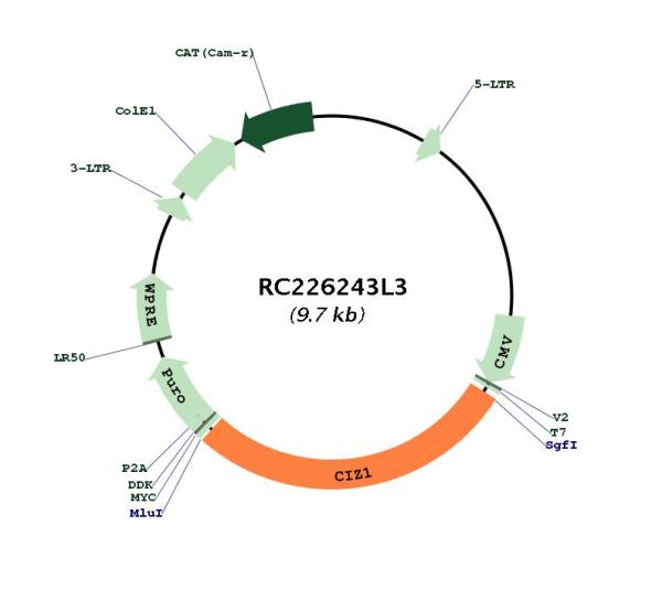 Circular map for RC226243L3