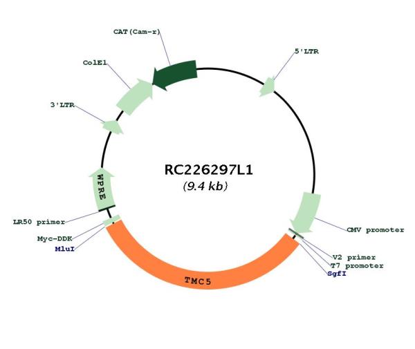 Circular map for RC226297L1