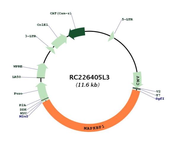 Circular map for RC226405L3