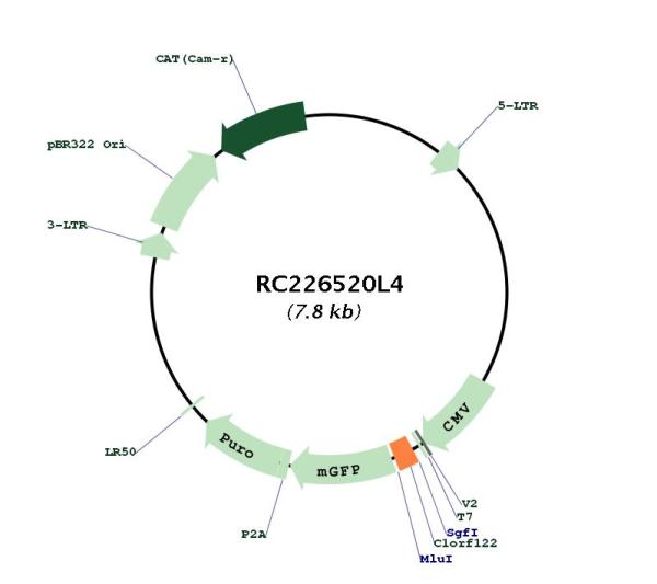 Circular map for RC226520L4