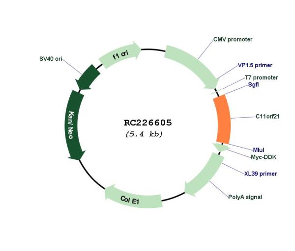 Circular map for RC226605