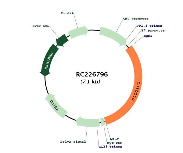 Circular map for RC226796