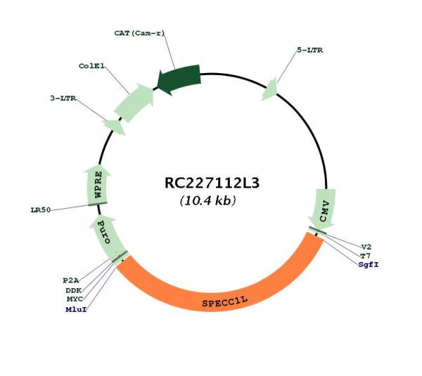 Circular map for RC227112L3