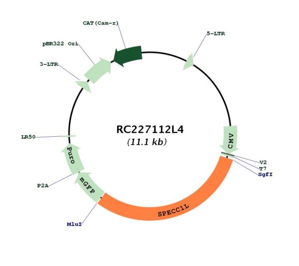 Circular map for RC227112L4