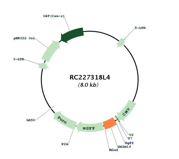 Circular map for RC227318L4