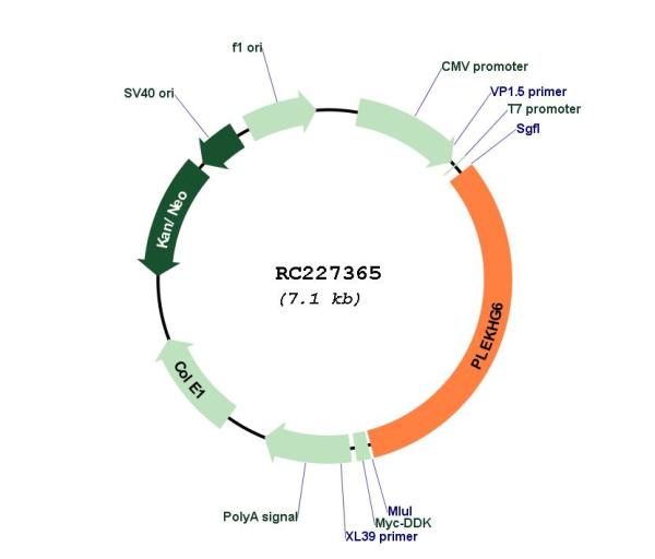 Circular map for RC227365