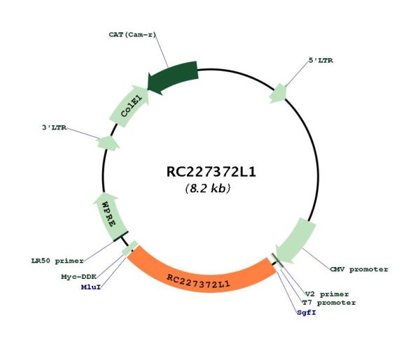 Circular map for RC227372L1