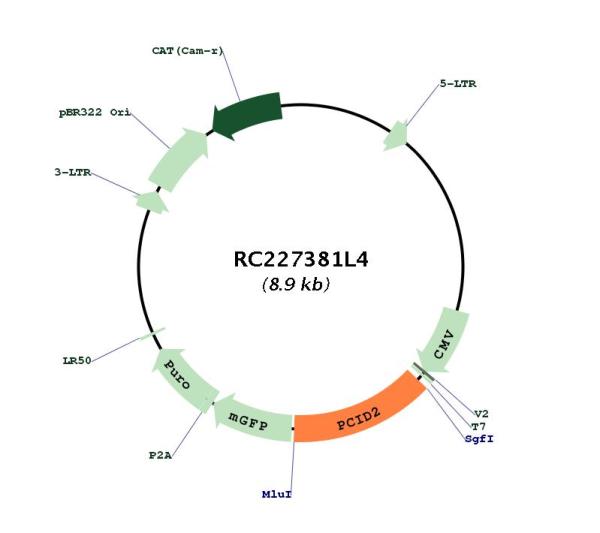 Circular map for RC227381L4