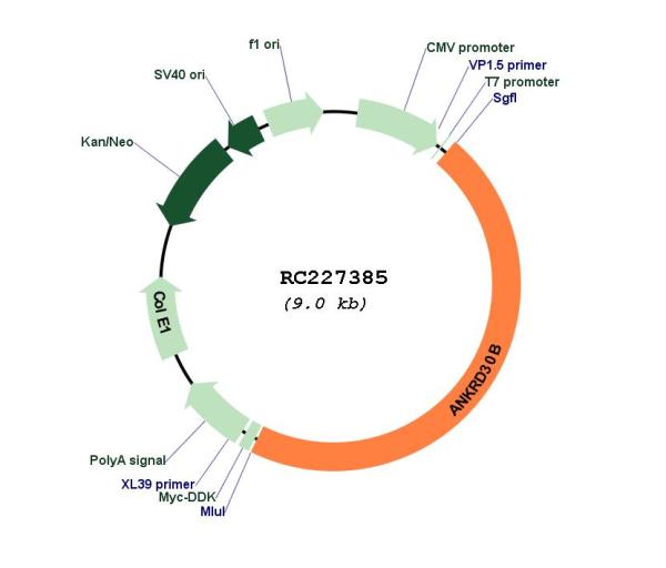Circular map for RC227385