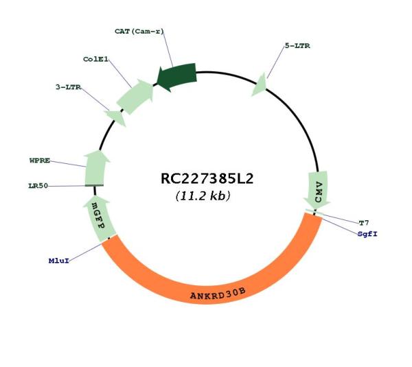 Circular map for RC227385L2