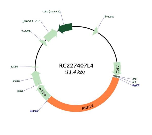 Circular map for RC227407L4