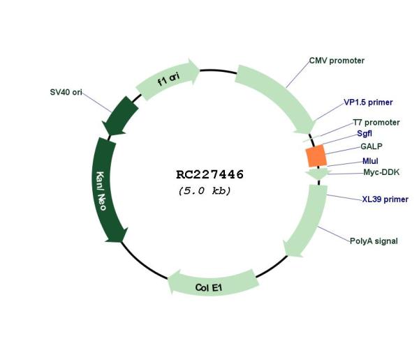 Circular map for RC227446