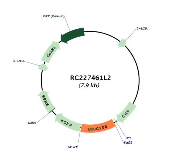 Circular map for RC227461L2