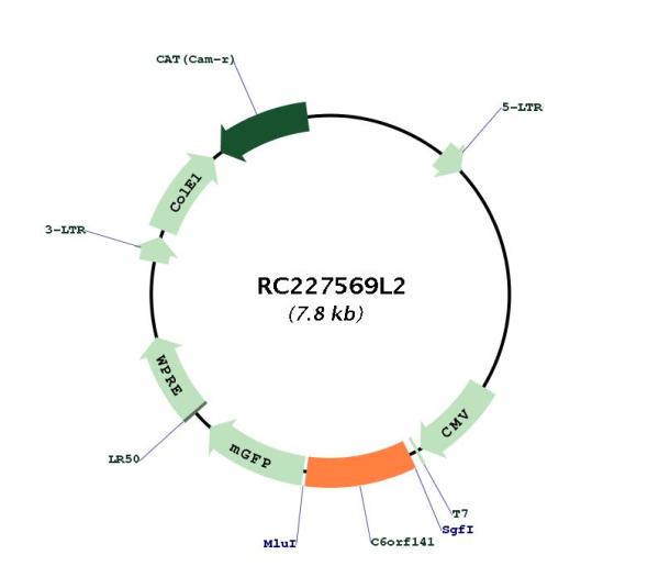 Circular map for RC227569L2