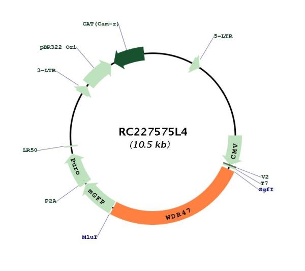 Circular map for RC227575L4