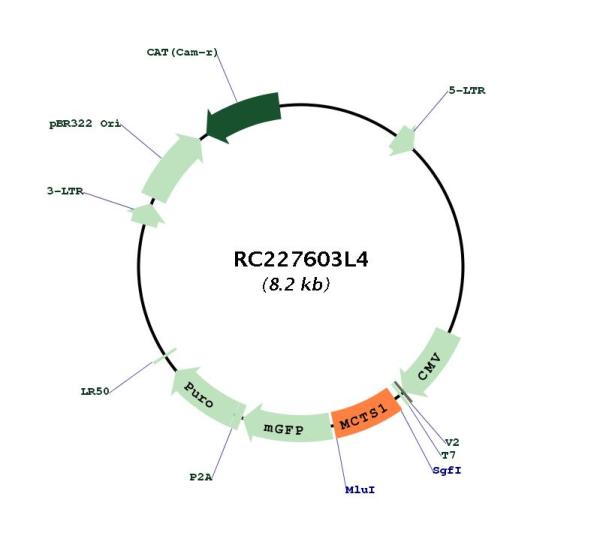 Circular map for RC227603L4