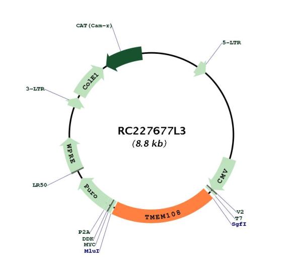 Circular map for RC227677L3