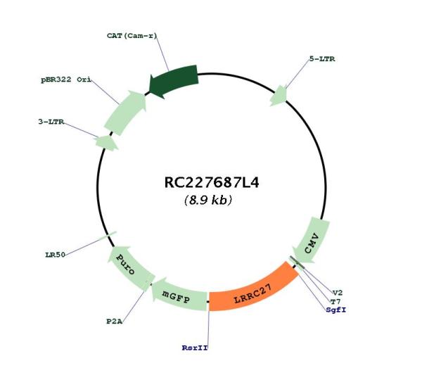 Circular map for RC227687L4